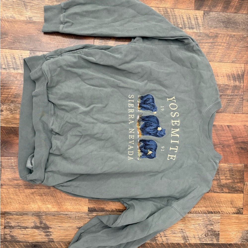 Brandy Melville Gray Yosemite Sweatshirt